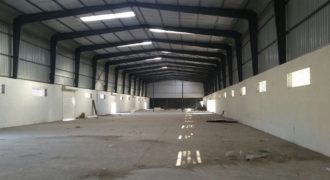 60000 sq.ft Industrial Shed for rent in Adalaj, Ahmedabad
